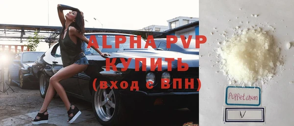 крисы Ельня