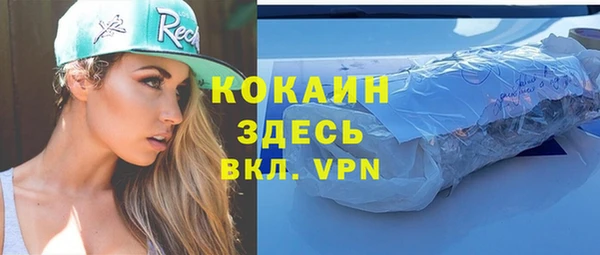 крисы Ельня