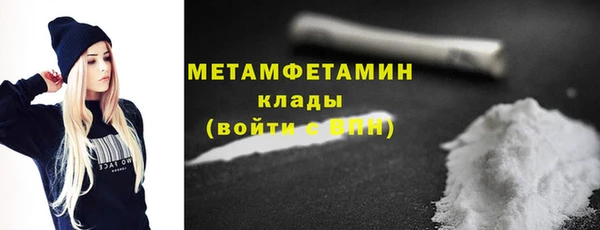 крисы Ельня