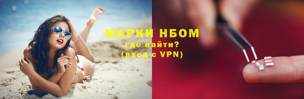 Альфа ПВП Елизово