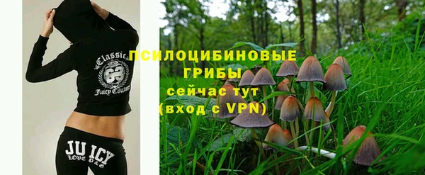 MDMA Premium VHQ Заводоуковск