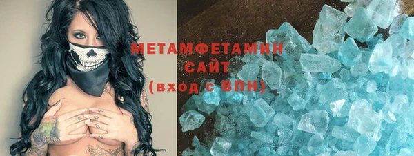 крисы Ельня