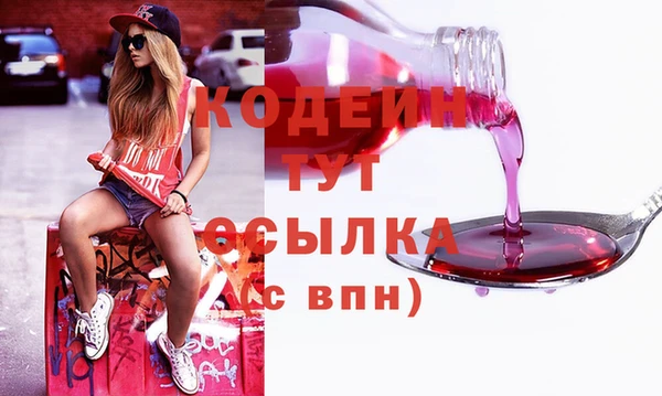 крисы Ельня